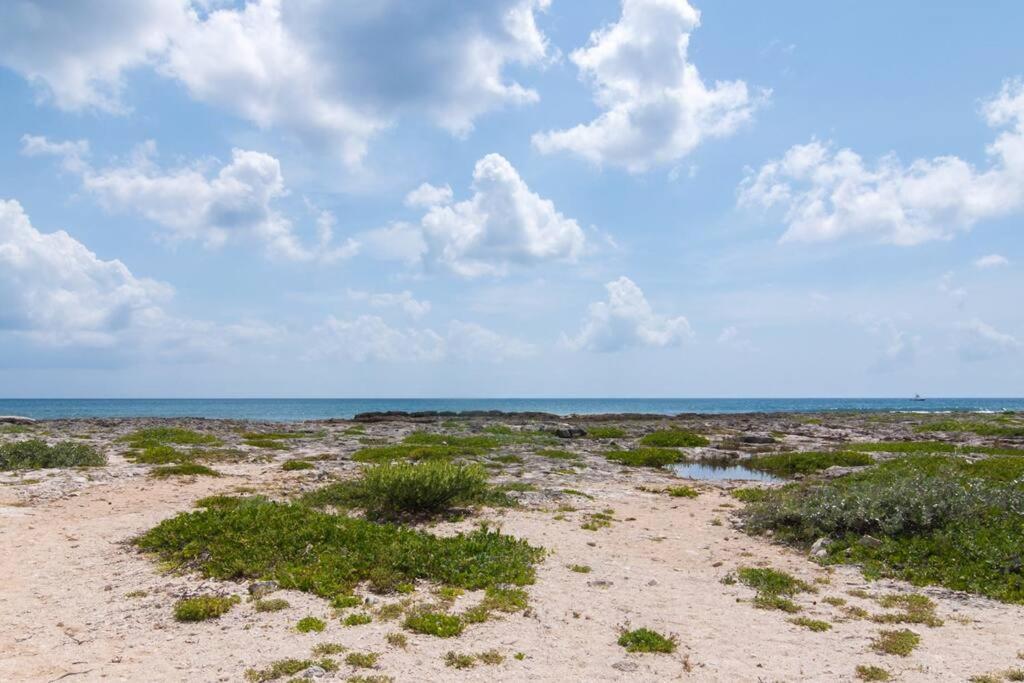 Ground Level Garden Condo At Akumal South By Tao Santamar Exterior foto